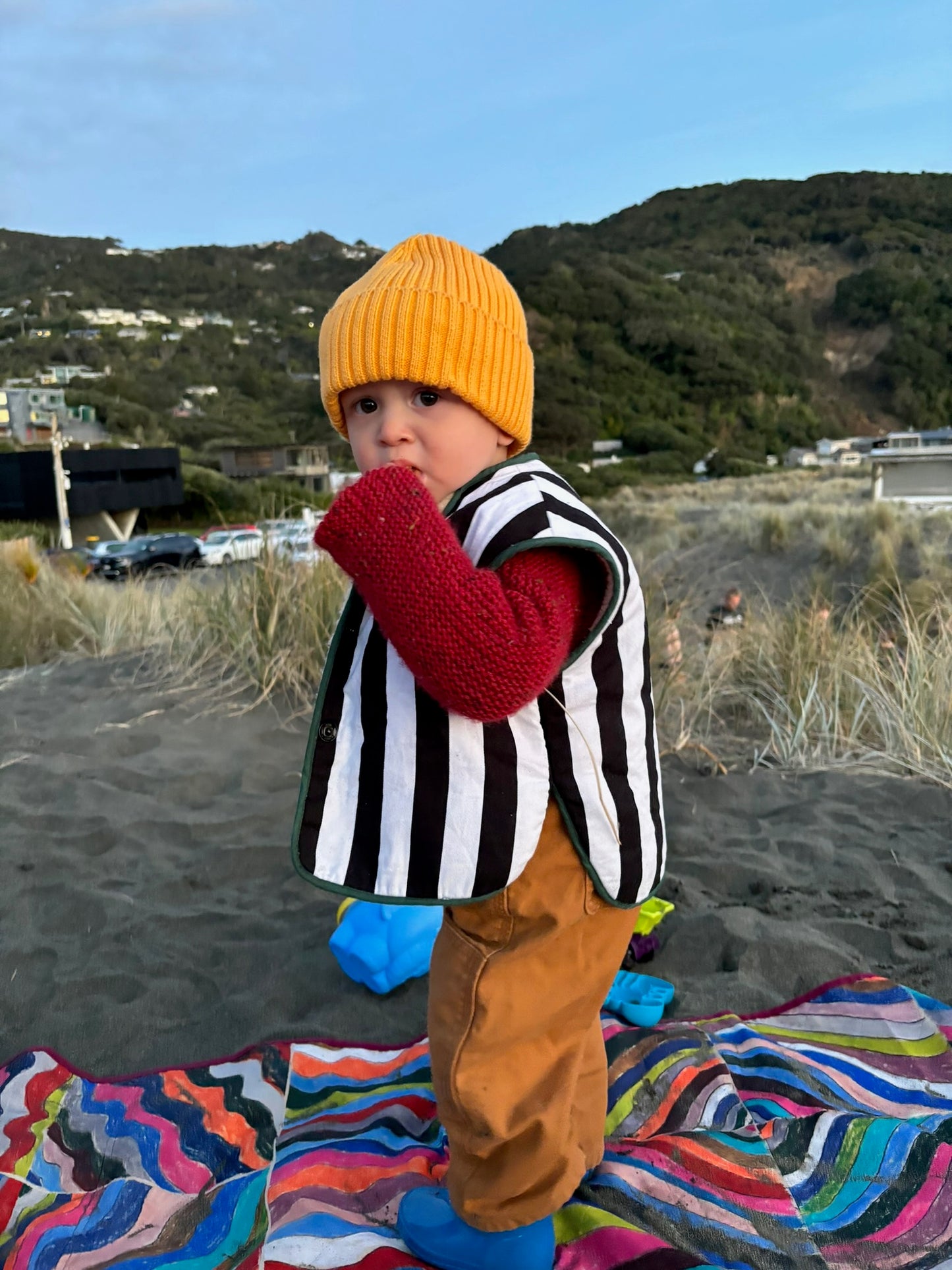 Woolly reversible vest